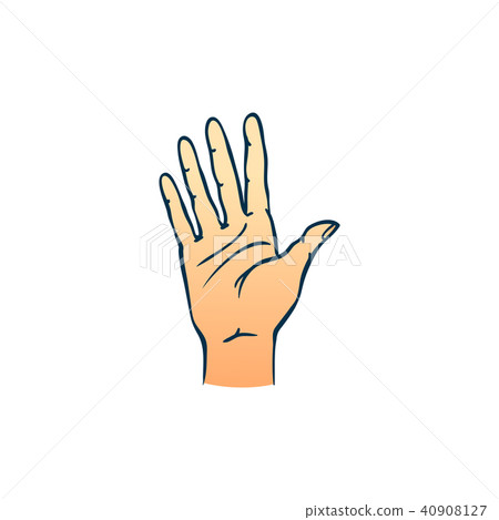 Human hand showing five fingers in sketch style isolated on white background. Human hand showing five fingers in sketch style isolated on white background. 40908127