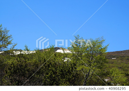 Mt. Kurikoma 40908295