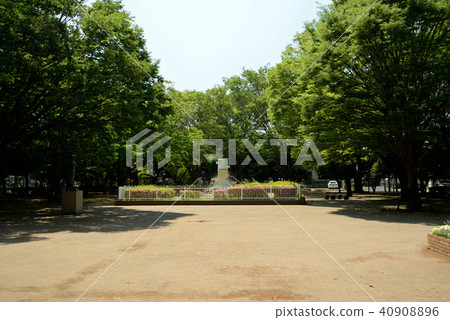 Fresh green, Funabashi-shi medicinal park, fountain square Fresh green, Funabashi-shi medicinal park, fountain square 40908896