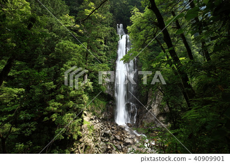 從Osugiya 從Osugiya 40909901