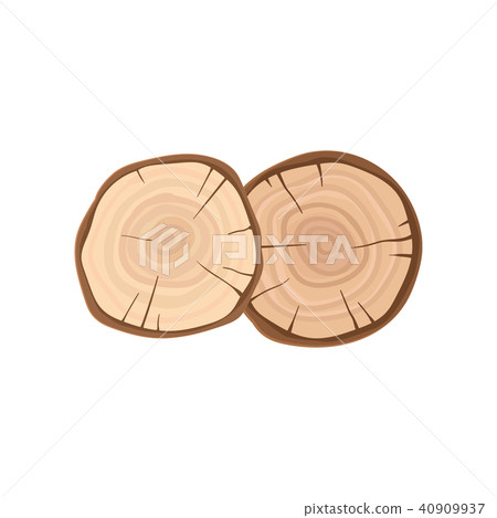 Two cross sections of tree trunks with annual growth rings. Organic material, natural texture. Flat Two cross sections of tree trunks with annual growth rings. Organic material, natural texture. Flat 40909937