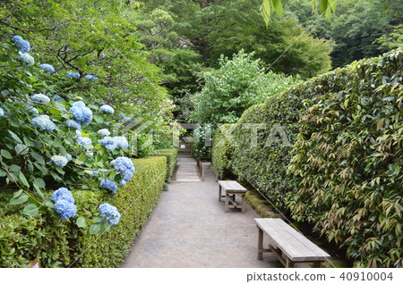 Meigetsuin風景 Meigetsuin風景 40910004