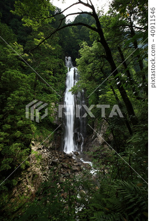 From Osugiya From Osugiya 40911546