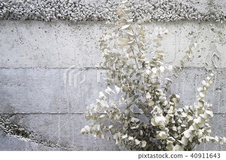 Bouquet of dried flowers for interior decoration 40911643