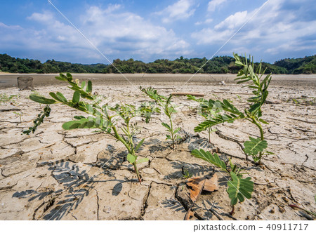 台南未開發地區台灣湖夢之湖乾旱乾旱夢之湖幹Kan秀 40911717