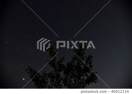 <Starry Sky> Minamichita Sakura Park 40912134