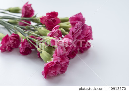 康乃馨花束 康乃馨花束 40912370