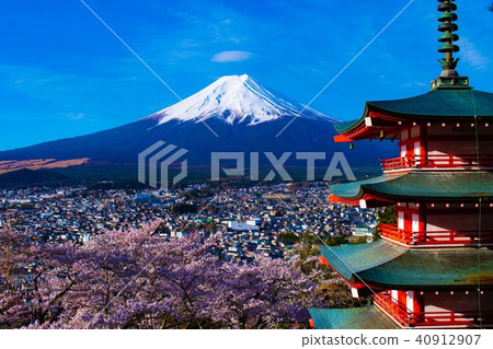 Fuji and cherry blossoms 40912907