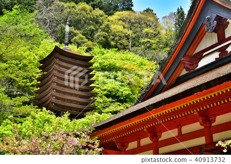 Shirasan shrine of the fresh green Shirasan shrine of the fresh green 40913732