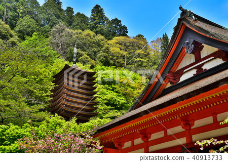 Shirasan shrine of the fresh green Shirasan shrine of the fresh green 40913733