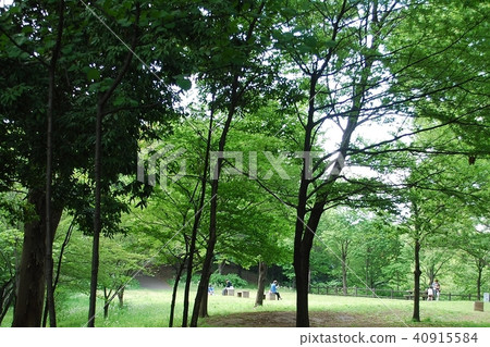 神奈川縣橫濱市都筑區市營地鐵“中央南站”前部區政府街“都筑中央公園”草坪廣場 40915584