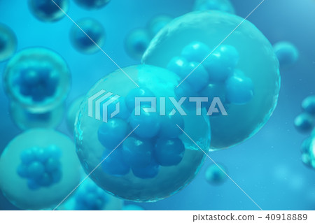 3D Rendering human or animal cells on blue background. Concept Early stage embryo Medicine 3D Rendering human or animal cells on blue background. Concept Early stage embryo Medicine 40918889
