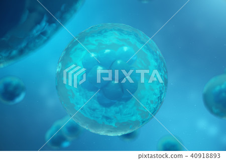 3D Rendering human or animal cells on blue background. Concept Early stage embryo Medicine 40918893