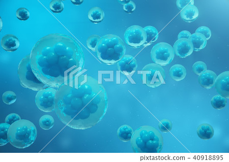 3D Rendering human or animal cells on blue background. Concept Early stage embryo Medicine 3D Rendering human or animal cells on blue background. Concept Early stage embryo Medicine 40918895