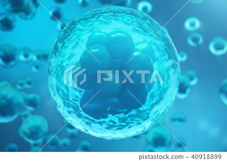 3D Rendering human or animal cells on blue background. Concept Early stage embryo Medicine 3D Rendering human or animal cells on blue background. Concept Early stage embryo Medicine 40918899