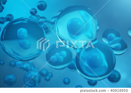 3D Rendering human or animal cells on blue background. Concept Early stage embryo Medicine 3D Rendering human or animal cells on blue background. Concept Early stage embryo Medicine 40918950