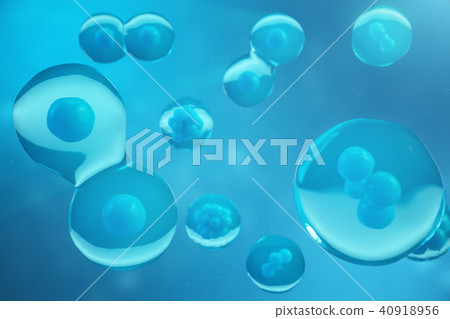3D Rendering human or animal cells on blue background. Concept Early stage embryo Medicine 40918956