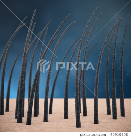 3D Rendering hair keratin strengthening, hair care. Treatment and care of hair. Hair with skin under 3D Rendering hair keratin strengthening, hair care. Treatment and care of hair. Hair with skin under 40919308