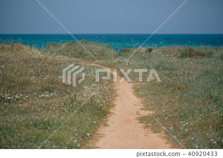 Road to the adriatic sea Italia coast apulia Road to the adriatic sea Italia coast apulia 40920433