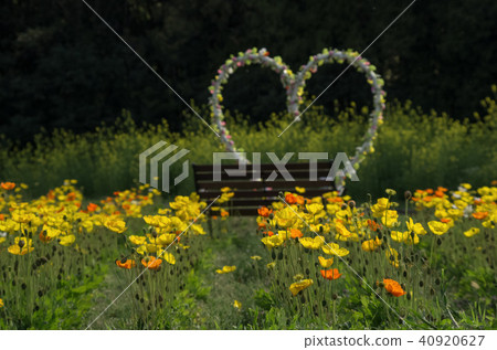 Expo Memorial Park Poppy Fair Expo Memorial Park Poppy Fair 40920627