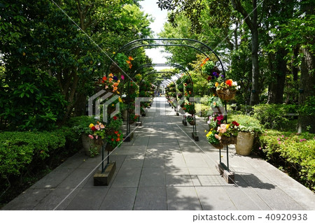 Enoshima Samuel Cocking Garden Enoshima Samuel Cocking Garden 40920938