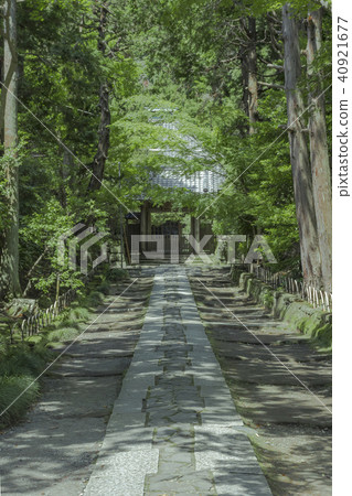 The approach of Kusuku-ji (Kamakura-shi Egaya) The approach of Kusuku-ji (Kamakura-shi Egaya) 40921677