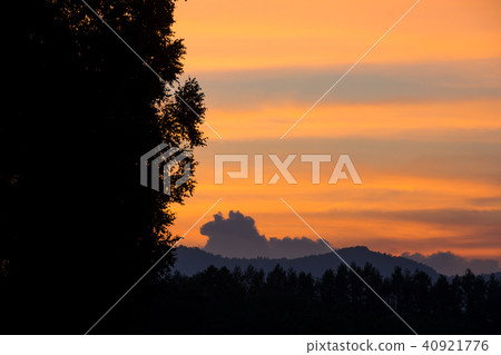 Sky at sunset and larch Lin Biei town Sky at sunset and larch Lin Biei town 40921776