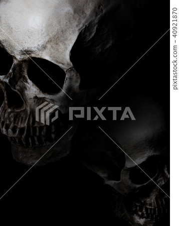 背景 - 骨架 40921870