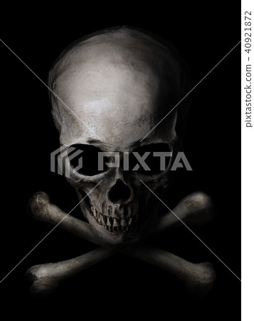 背景 - 骨架 40921872