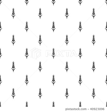 Wheaty wheat pattern vector seamless 40923896