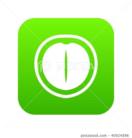 Macadamia nut icon digital green Macadamia nut icon digital green 40924896
