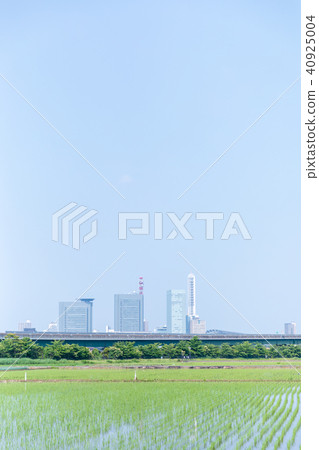 初夏水稻種植已經結束的Nenuma稻田 初夏水稻種植已經結束的Nenuma稻田 40925004