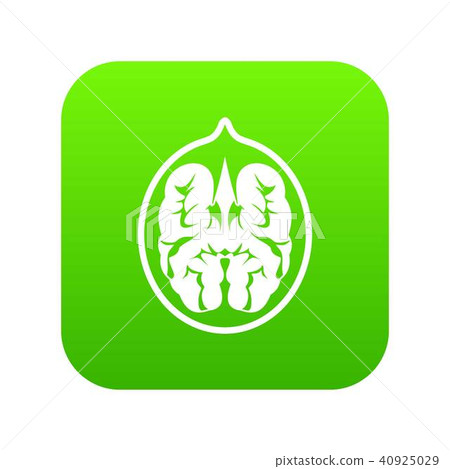 Walnut icon digital green Walnut icon digital green 40925029