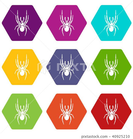 Spider icons set 9 vector Spider icons set 9 vector 40925210