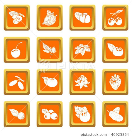 Berries icons set orange square vector Berries icons set orange square vector 40925864