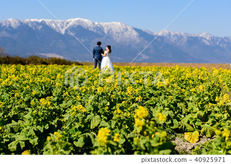 希拉山系統和強姦花夫婦 40925971