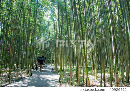 採取人力車的京都Sagano竹森林走的旅遊遊人 採取人力車的京都Sagano竹森林走的旅遊遊人 40926811