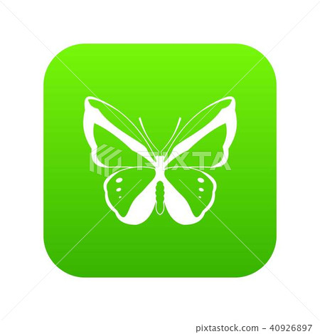 Butterfly icon digital green Butterfly icon digital green 40926897