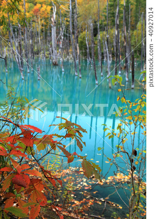 Autumn's Blue Pond Autumn's Blue Pond 40927014