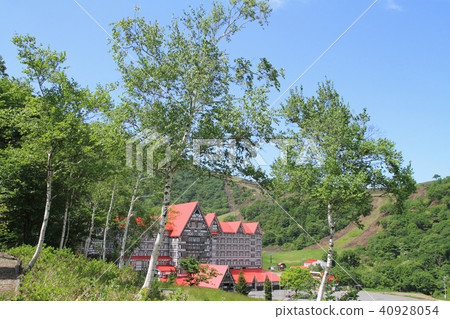 Early summer Hakuba Cortina Early summer Hakuba Cortina 40928054