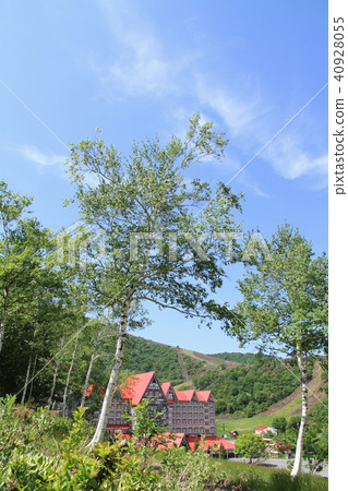 Early summer Hakuba Cortina 40928055