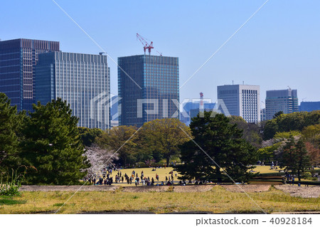 Honmaru Gotemba Mark x Office Building 40928184