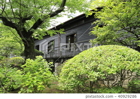 Nogi Shrine and adjacent Nogi Park former residence Nogi Shrine and adjacent Nogi Park former residence 40929286