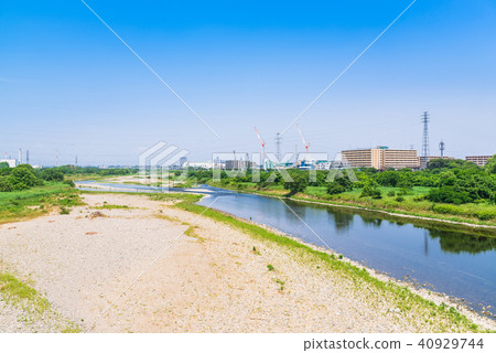 Spring Tamagawa Fuchu Near Yotsuya Bridge Spring Tamagawa Fuchu Near Yotsuya Bridge 40929744