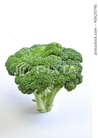西蘭花 40929746