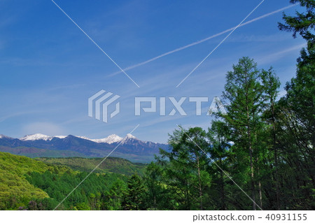 清新的青山 40931155