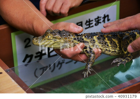 Interaction corner 40931179