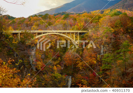 Autumn leaves Autumn leaves 40931370