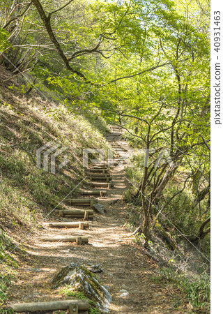 Fresh green mountain climbing road 40931463