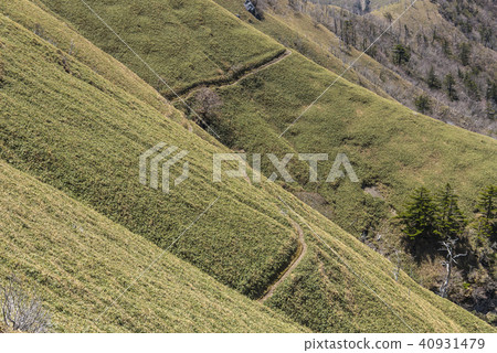 山路/ Rido方式 40931479
